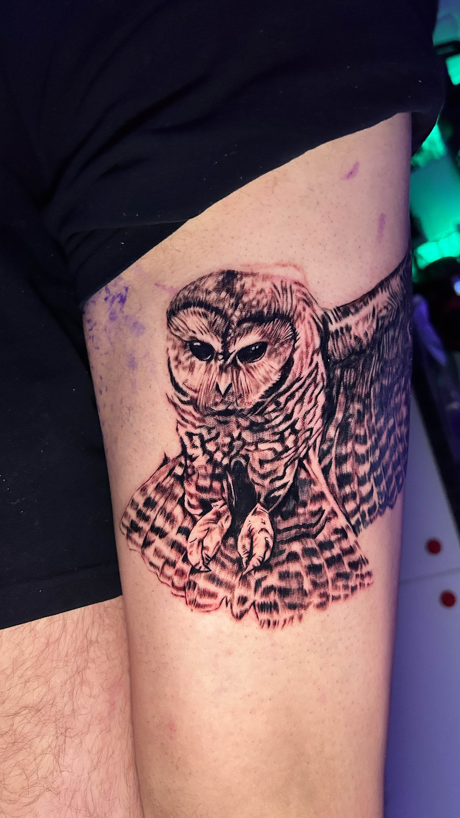 Owl thigh tattoo work in progress