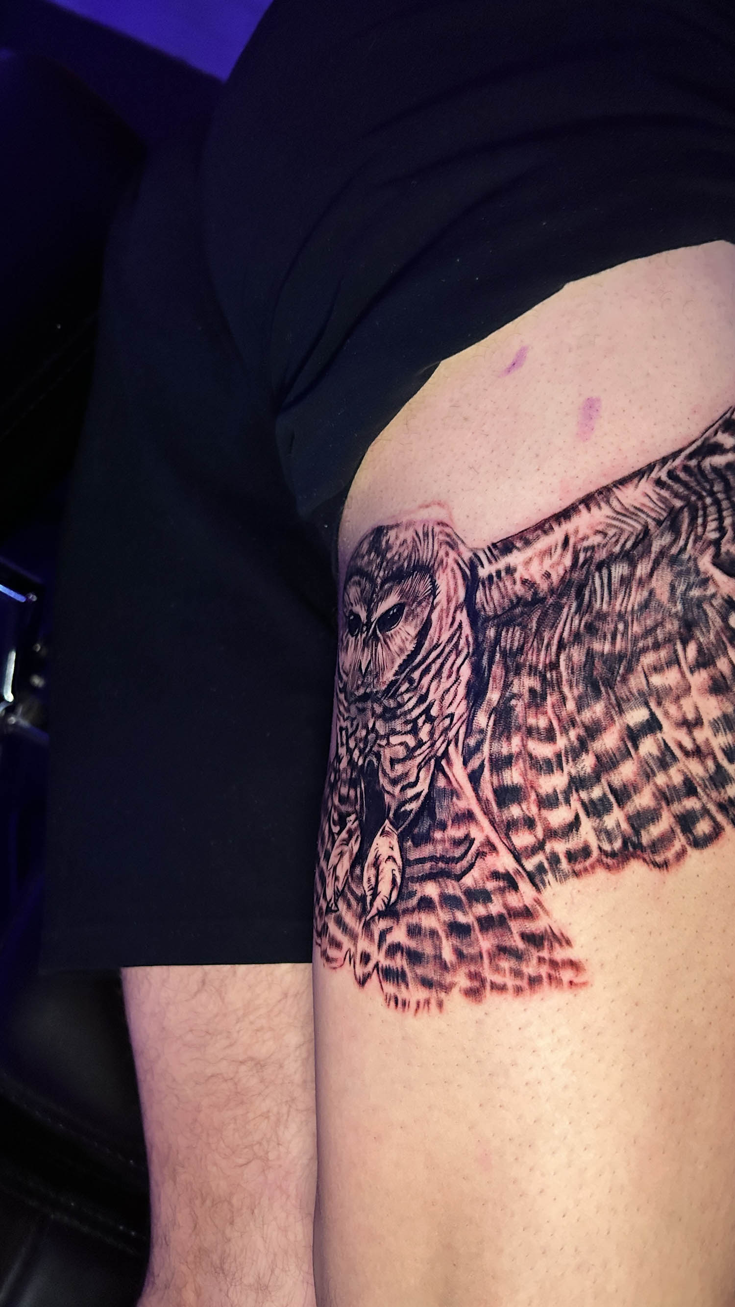Owl thigh tattoo work in progress
