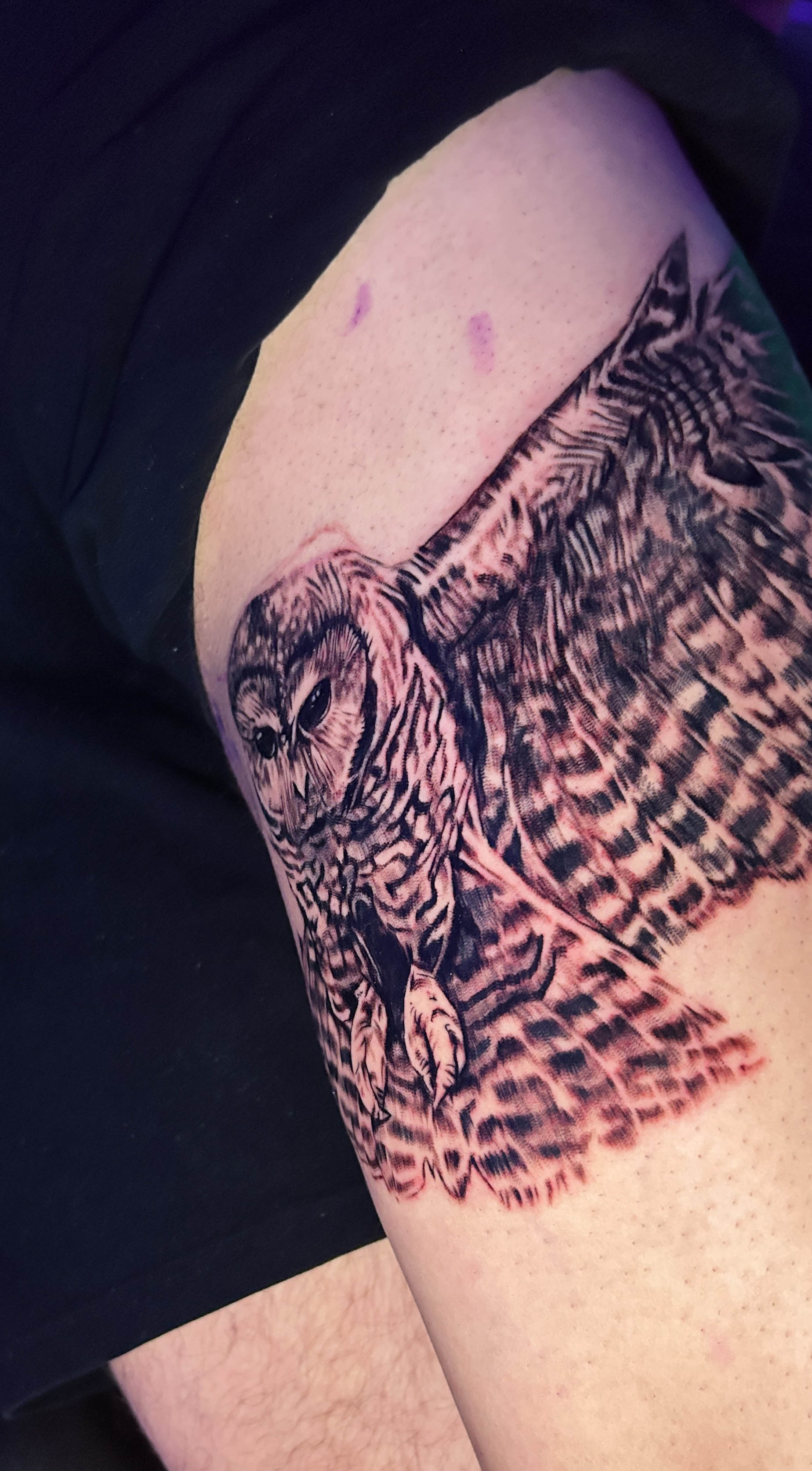 Owl thigh tattoo work in progress