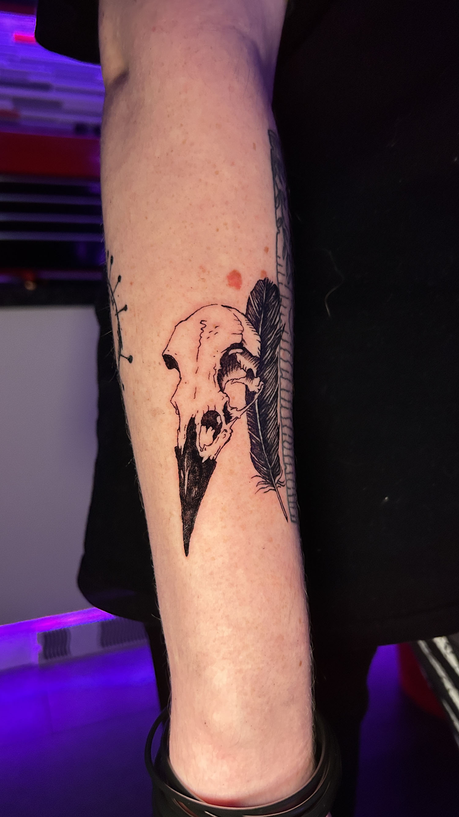 Crow skull and Feather black and line work tattoo